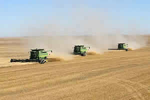 Residue Management Solutions