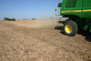Poor soybean residue distribution