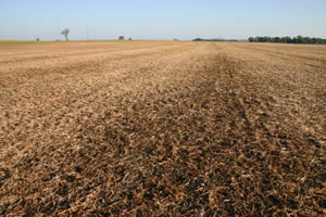 Poor soybean residue distribution